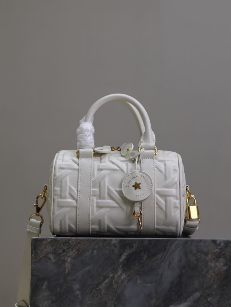 chr1st1an D10r boston bags